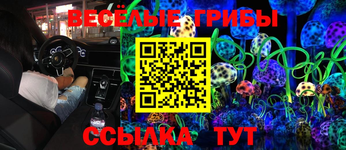 Дятьково  Галлюциногенные грибы ЛСД  Вход с VPN 